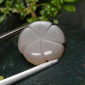 5.29克拉天然棕色月光石，花形切工，13.1×13毫米，半透明