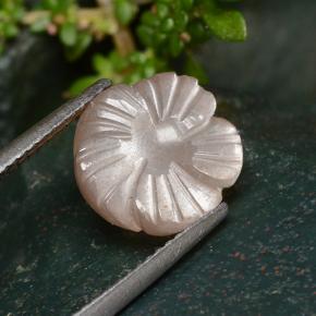 4.01克拉天然橙色月光石，花形切工，11×10.9毫米，半透明