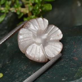 6.41克拉天然橙色月光石，花形切工，14.1×13.8毫米，半透明