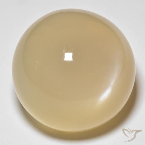 33.80ct 天然 金色 月长石, 圆形的, 半透明