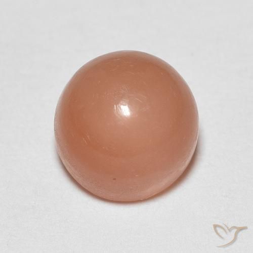 1.30ct 天然 哈密瓜橙 月长石, 圆形的, 半透明