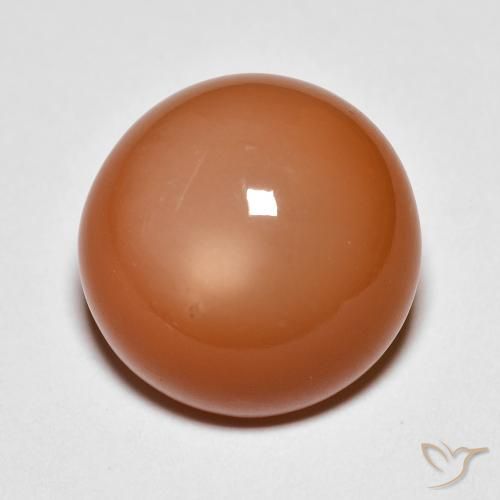 10.07ct 天然 中橙 月长石, 圆形的, 不透明