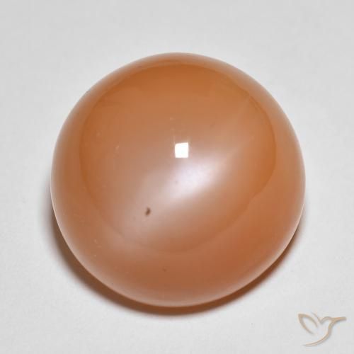 18.54ct 天然 浅红橙色 月长石, 圆形的, 半透明