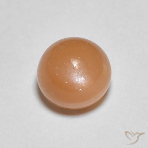 1.22ct 天然 暖杏橙 月长石, 圆形的, 半透明