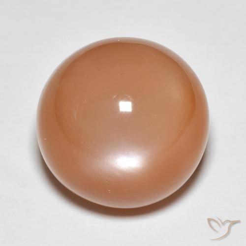 13.61ct 天然 哈密瓜橙 月长石, 圆形的, 半透明