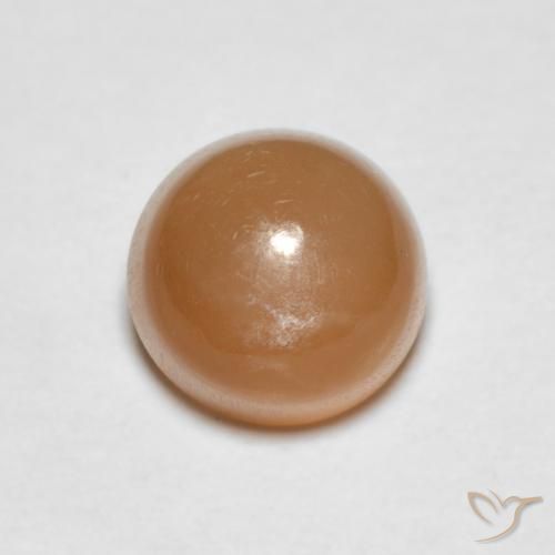 1.19ct 天然 哈密瓜橙 月长石, 圆形的, 半透明