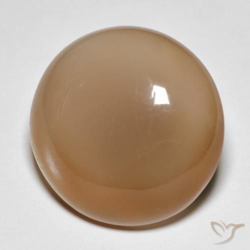 18.95ct 天然 哈密瓜橙 月长石, 圆形的, 半透明