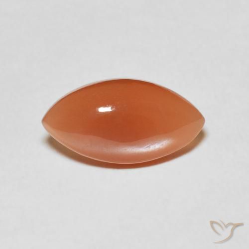 2.80ct 天然 中橙 月长石, 榄尖形, 半透明