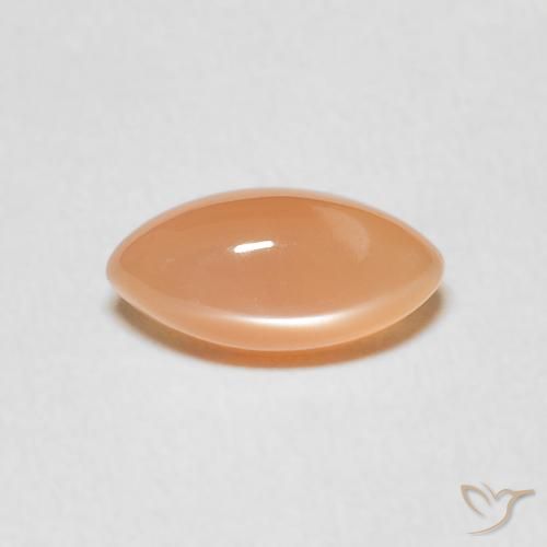 1.25ct 天然 哈密瓜橙 月长石, 榄尖形, 半透明
