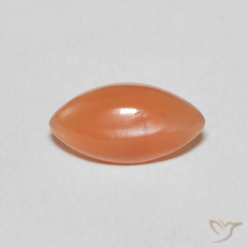 0.89ct 天然 中橙 月长石, 榄尖形, 半透明