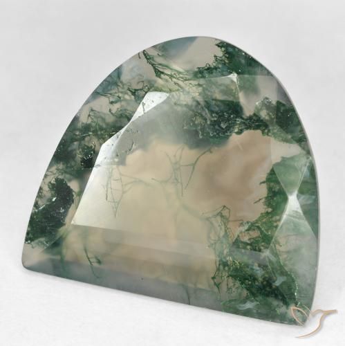 18.92克拉天然多色苔藓玛瑙，异形，23.3×20.8毫米，透明