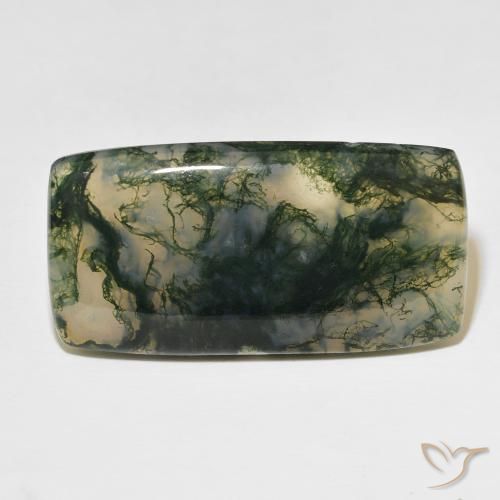 49.99ct 天然 彩色 苔藓玛瑙, 软垫, 半透明