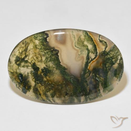47.75ct 天然 彩色 苔藓玛瑙, 椭圆形, 半透明
