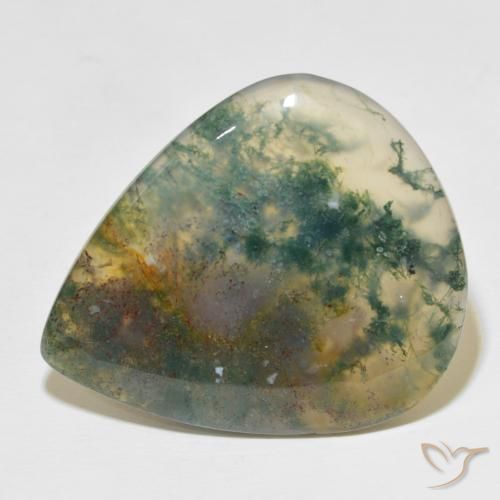 49.60ct 天然 彩色 苔藓玛瑙, 梨形, 半透明