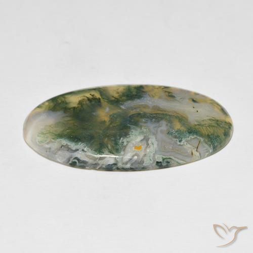 48.97克拉天然苔藓玛瑙，椭圆形，不透明