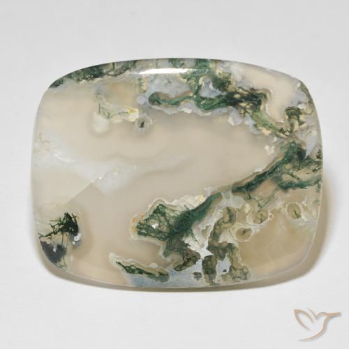 82.54ct 天然 彩色 苔藓玛瑙, 软垫, 半透明