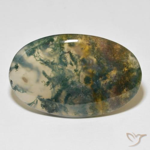 63.36ct 天然 彩色 苔藓玛瑙, 椭圆形, 半透明