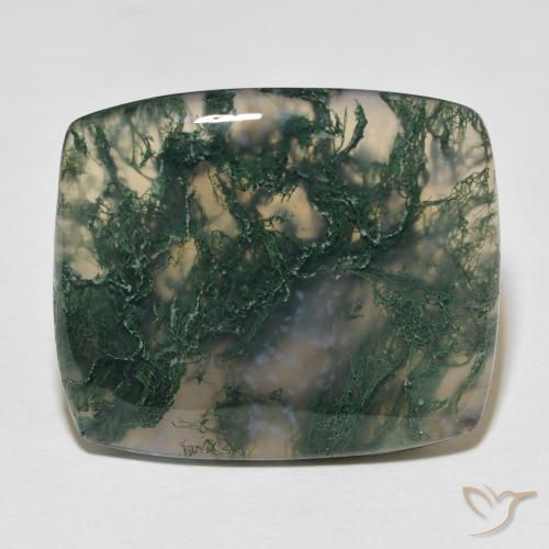 27.23ct 天然 彩色 苔藓玛瑙, 软垫, 不透明