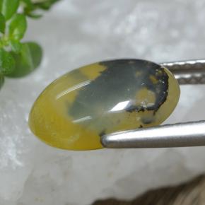 2.98克拉天然苔藓蛋白石，椭圆形切割，半透明