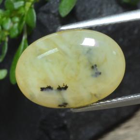 4.33克拉天然黄色苔藓欧泊，椭圆形切割，14.7×10.3毫米，半透明