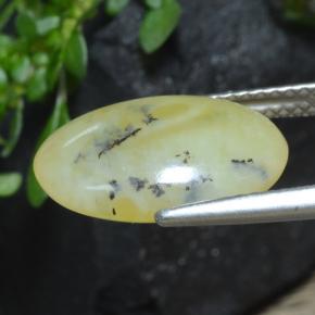 4.33克拉天然黄色苔藓欧泊，椭圆形切割，14.7×10.3毫米，半透明