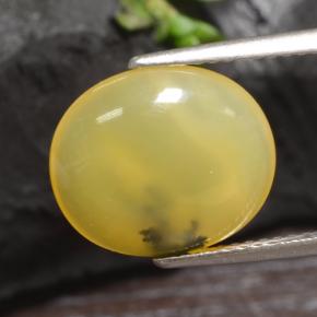 3.65克拉天然黄色苔藓欧泊，椭圆形切割，13.3×11.3毫米，半透明