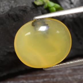 3.65克拉天然黄色苔藓欧泊，椭圆形切割，13.3×11.3毫米，半透明