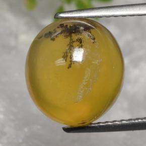 5.08克拉天然黄色苔藓欧泊，椭圆形切割，11.8×10.9毫米，半透明