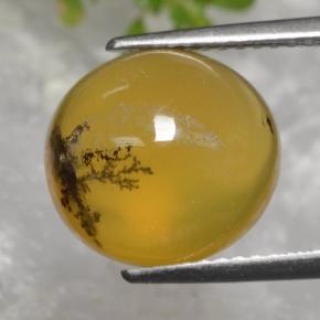 5.08克拉天然黄色苔藓欧泊，椭圆形切割，11.8×10.9毫米，半透明