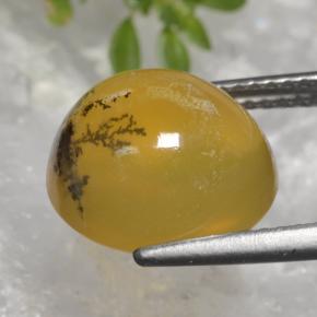 5.08克拉天然黄色苔藓欧泊，椭圆形切割，11.8×10.9毫米，半透明