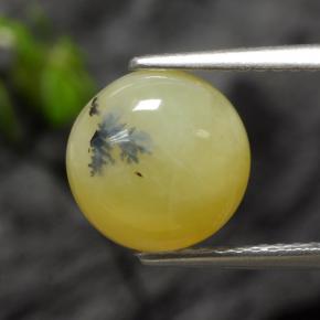 2.73克拉天然黄色苔藓欧泊，圆形切割，9.28毫米，半透明