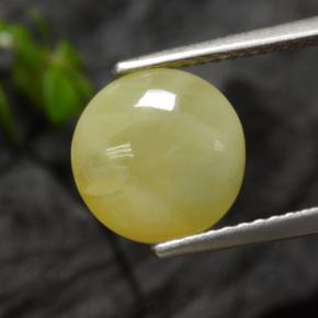 2.73克拉天然黄色苔藓欧泊，圆形切割，9.28毫米，半透明