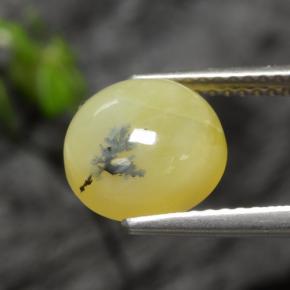 2.73克拉天然黄色苔藓欧泊，圆形切割，9.28毫米，半透明