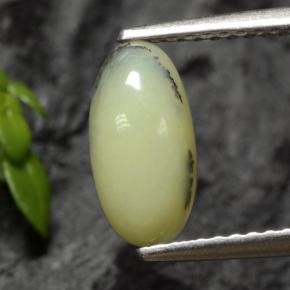 1.12克拉天然苔藓欧泊，椭圆形切割，半透明