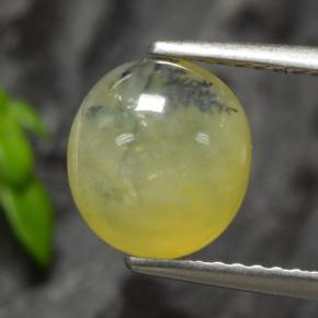 1.93克拉天然苔藓蛋白石，椭圆形切割，半透明