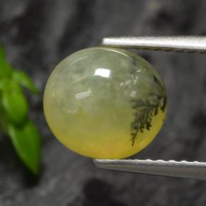 1.93克拉天然苔藓蛋白石，椭圆形切割，半透明