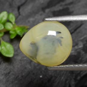 1.79克拉天然黄色苔藓欧泊，梨形，9.9×8.6毫米，半透明