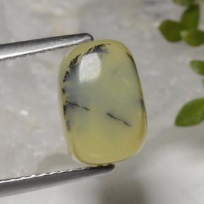 3.88克拉天然黄色苔藓欧泊，垫形剪裁，10.3×7.1毫米，不透明
