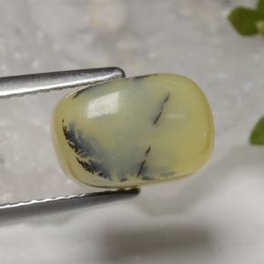 3.88克拉天然黄色苔藓欧泊，垫形剪裁，10.3×7.1毫米，不透明