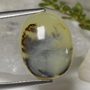 6.23克拉天然黄色苔藓欧泊，椭圆形切割，14.5×11.4毫米，半透明
