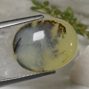 6.23克拉天然黄色苔藓欧泊，椭圆形切割，14.5×11.4毫米，半透明