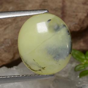 3.18克拉天然苔藓欧泊，椭圆形切割，半透明