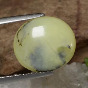 3.18克拉天然苔藓欧泊，椭圆形切割，半透明