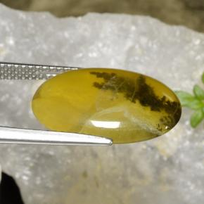 6.54克拉天然苔藓蛋白石，椭圆形切割，半透明