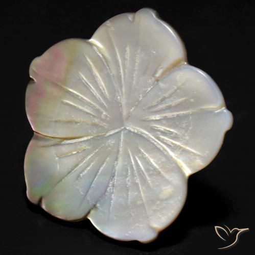 24.27ct 天然 白色 珍珠母, 花形切割, 不透明