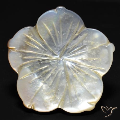29.23ct 天然 白色 珍珠母, 花形切割, 不透明