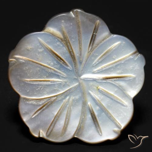 14.21ct 天然 烟熏色 珍珠母, 花形切割, 不透明