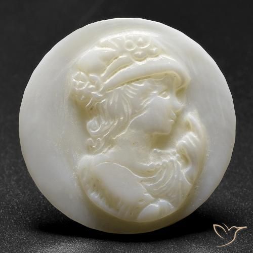 14.65ct 天然 珍珠白 珍珠母, 圆形的, 不透明