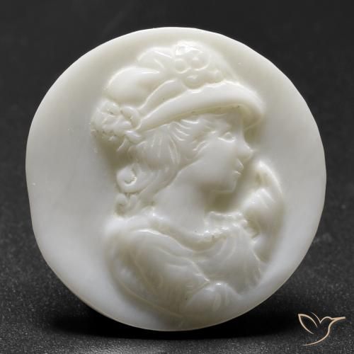 13.87ct 天然 珍珠白 珍珠母, 圆形的, 不透明