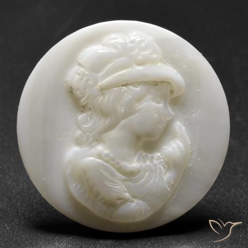 17.23ct 天然 珍珠白 珍珠母, 圆形的, 不透明